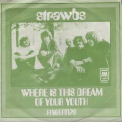 Strawbs : Where Is This Dream of Your Youth